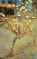Poirier en fleurs Vincent van Gogh
